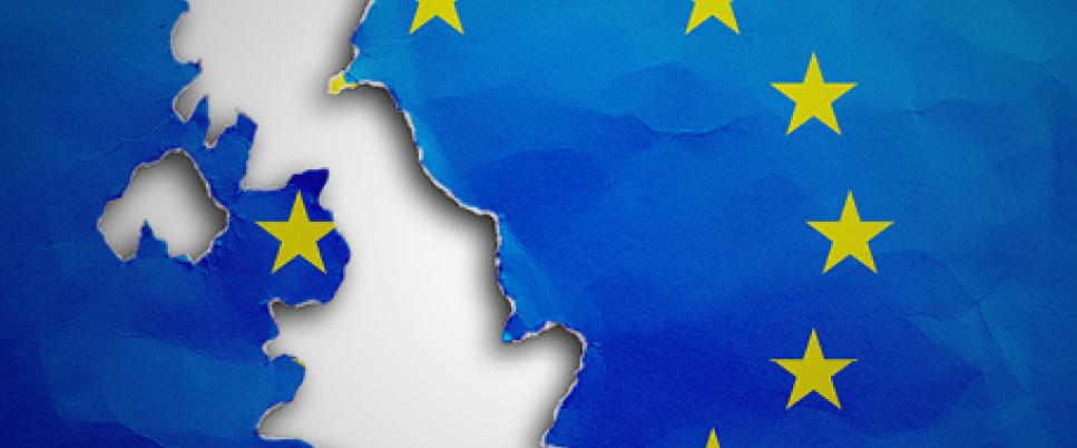 flag of the European Union