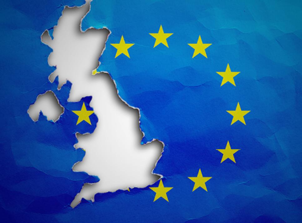flag of the European Union
