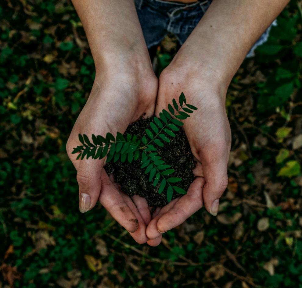 noah-buscher-x8zstuks2pm-unsplash_3.jpg